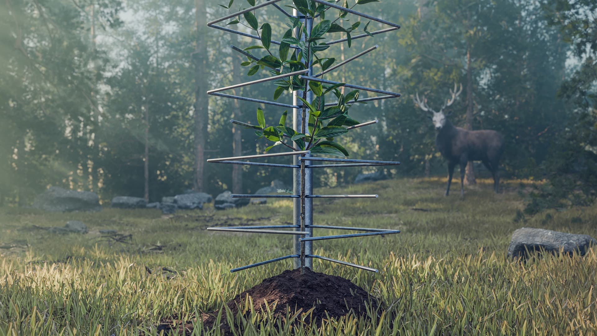 FormaWerk Einzelschützer Nahaufnahme — 3D-Visualisierung mit geschützter Jungpflanze