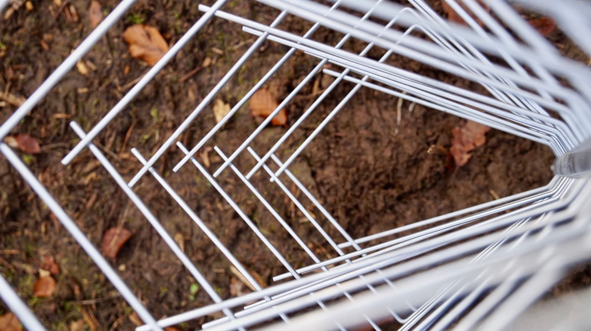 FormaWerk Einzelschützer Draufsicht auf die Scherdorne