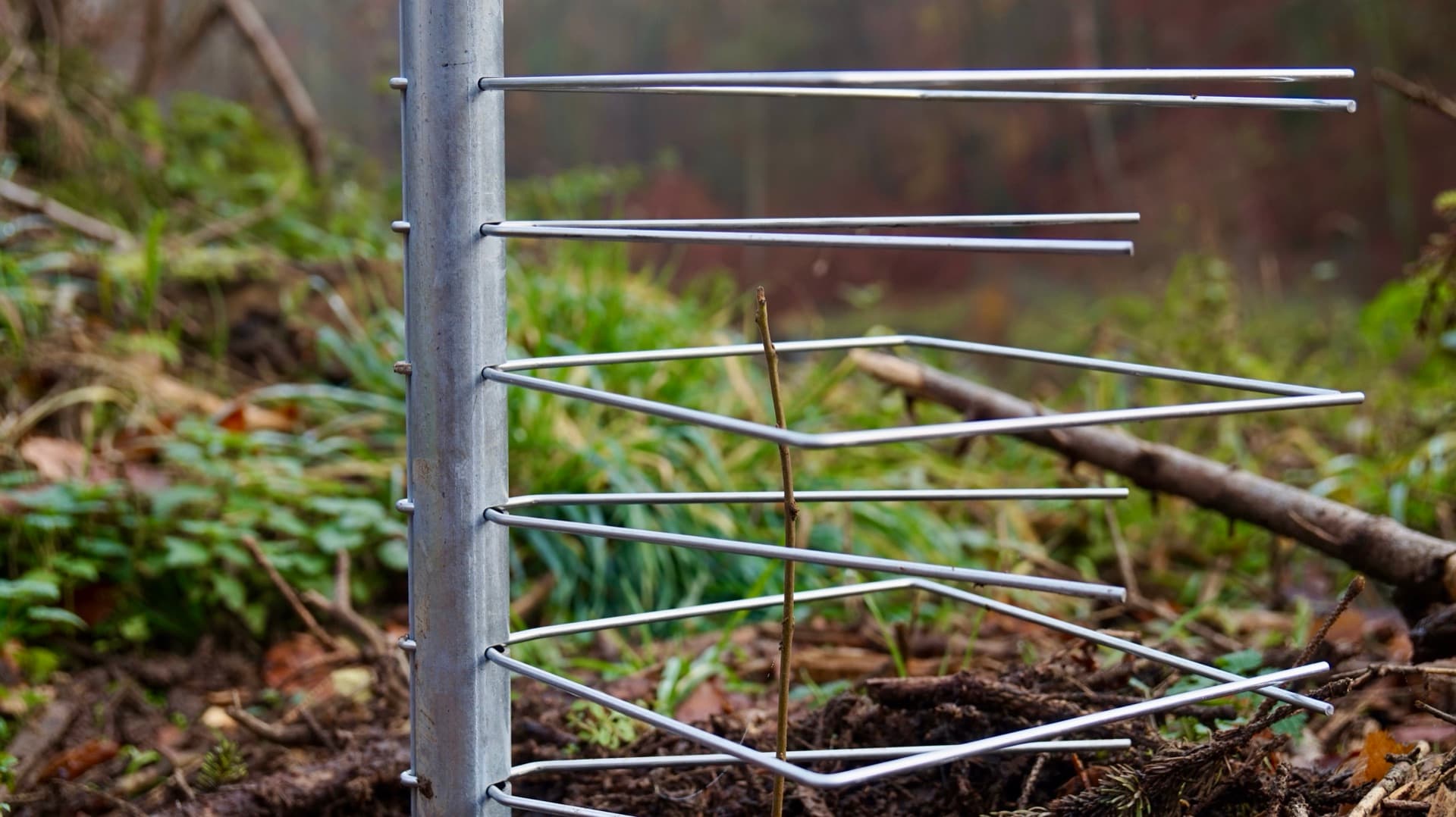FormaWerk Einzelschützer Detailaufnahme mit Scherdornen