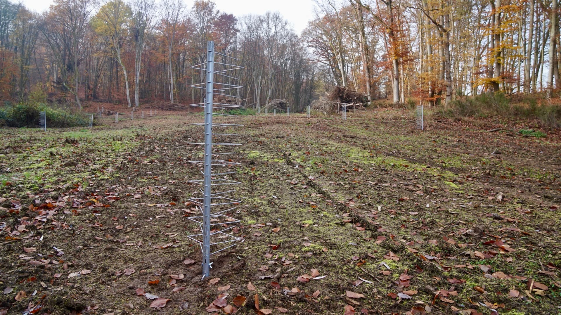 FormaWerk VS1200S2 Einzelschützer auf einer Aufforstungsfläche