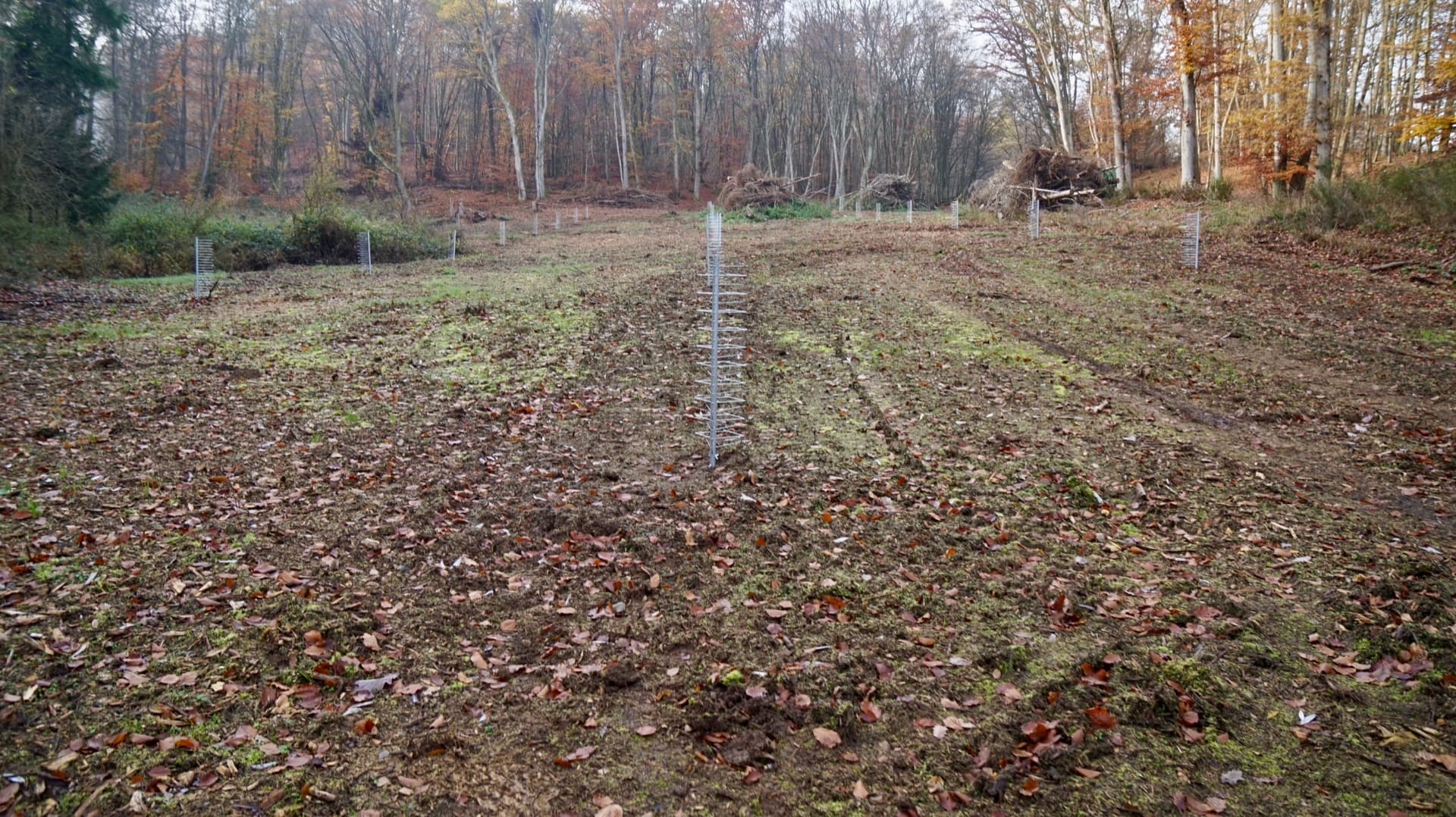 FormaWerk VS1200S2 im Einsatz