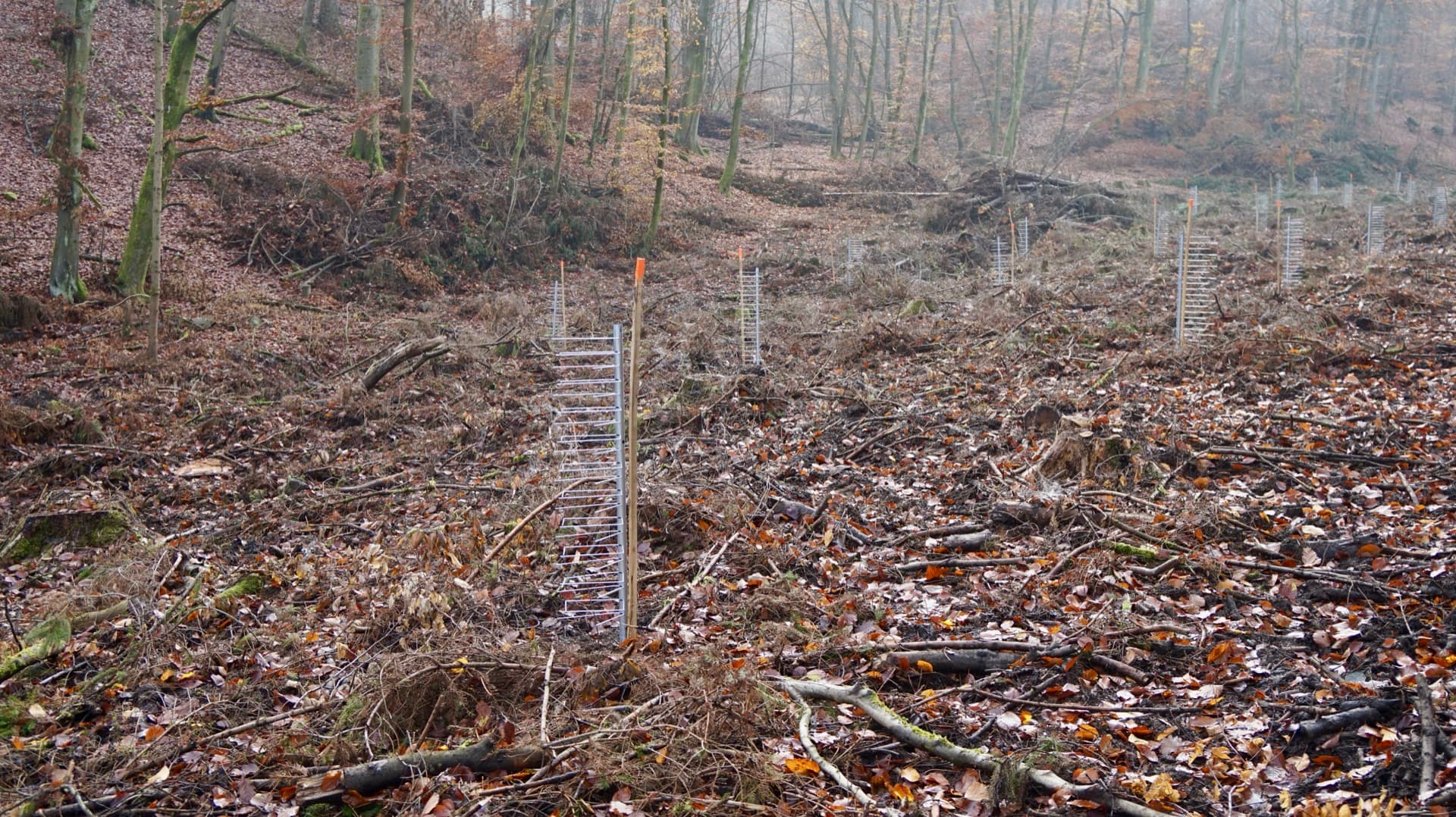FormaWerk Einzelschützer auf einem steilen Waldhang