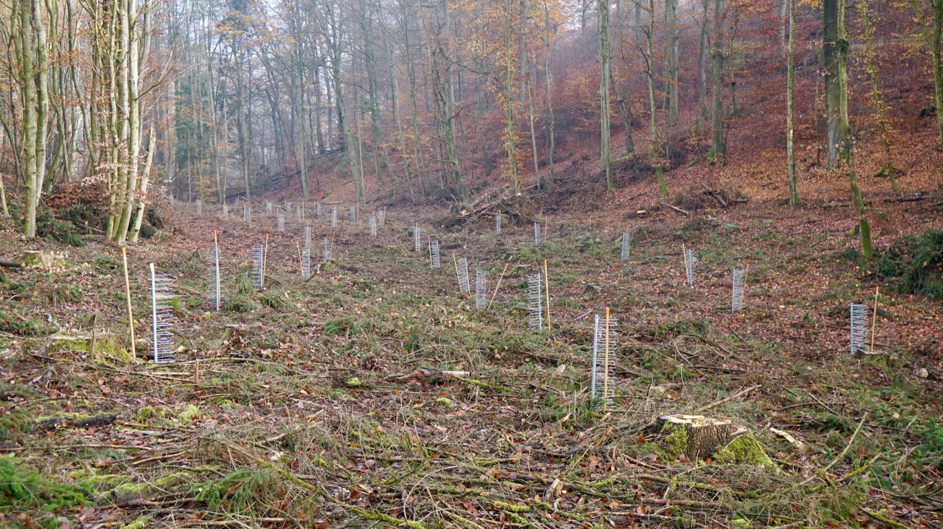 FormaWerk VS1700S2 im Einsatz